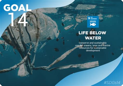 14 Life Below Water Ukandoit Global