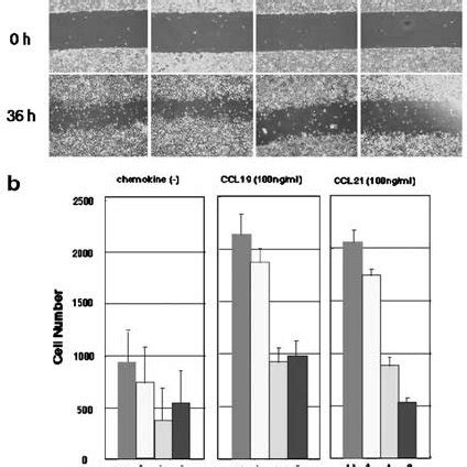 Spred And Sprouty Suppress Lm Cell Migration A Wound Healing