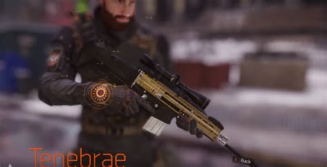 The Division Tenebrae Was kann das Highend Präzisionsgewehr