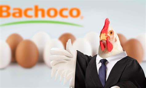 Bachoco Qui N Est Detr S De La Empresa De Alimentos Av Colas