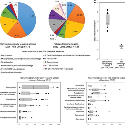 Distributions Of The Core Microbiomes By Foraging Seasons Based On