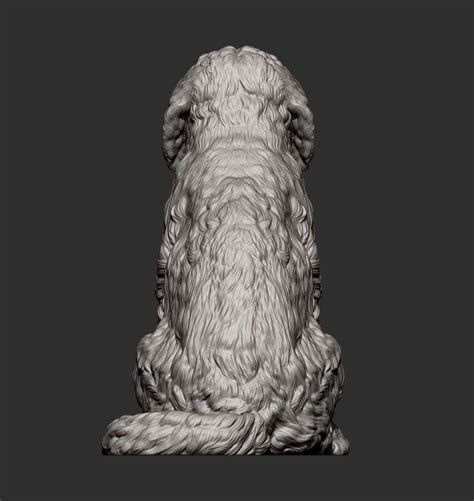 3d File Goldendoodle 3d Print Model 🐕 ・design To Download And 3d Print