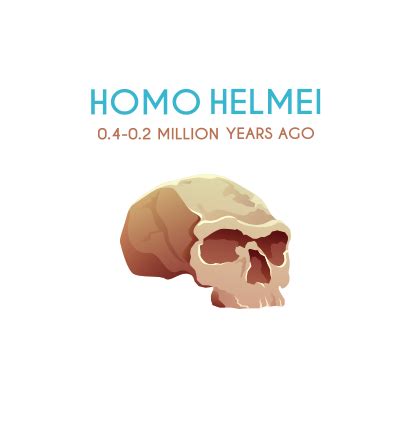 Human Evolution: A Timeline of Early Hominids [Infographic] - Earth How Daycare School, Hominid ...