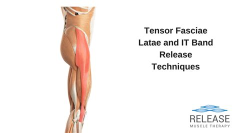 TFL And IT Band Release - 4 Top Techniques