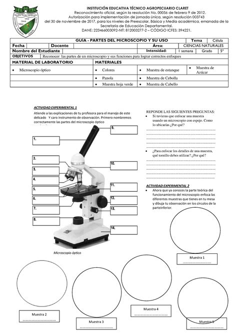 Padre Pronombre Crecimiento Actividades Con Microscopio Para Primaria