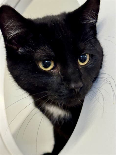 St Louis County Jail Roster: Duluth, MN Inmate Information 20