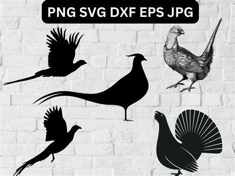 Pheasant Svg Pheasant Hunting Svg Pheasant Silhouette Bird Hunting