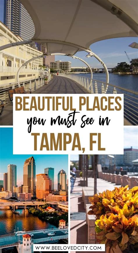 Things To Do In Tampa Florida Travel Guide Beeloved City [video] [video] Florida Travel