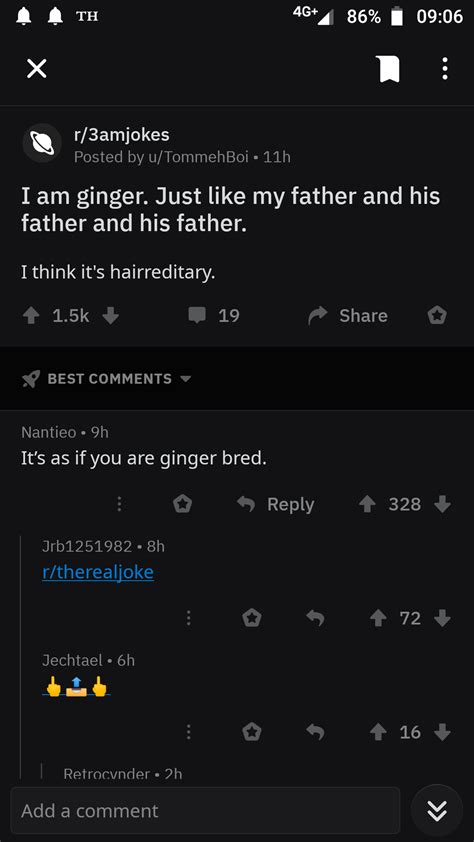 Ginger R Therealjoke