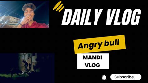 5th Vlog Ye Nahi Dekha To Kuch Nahi Dekha Angry Cow Full