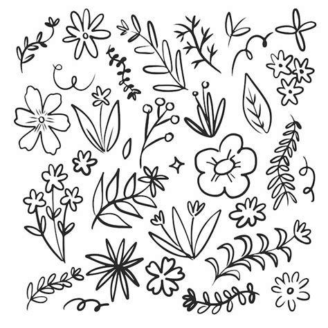 Premium Vector Flower Doodle Hand Drawn Collection Pack