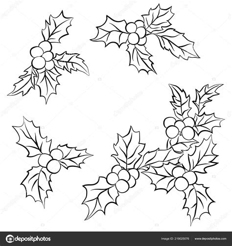 Holly Leaf Outline