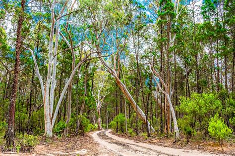 Fern Tree Gully Discover Rylstone Kandos