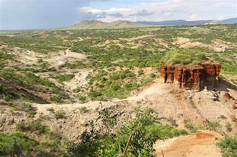 La Garganta De Olduvai Constituye Uno De Los Lugares M S Importantes En