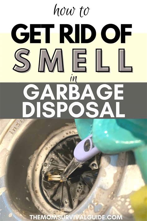 7 Easy Ways To Get Rid Of Smell In Your Garbage Disposal - The Mom ...