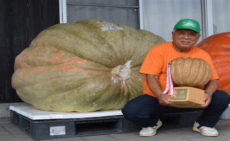 Giant 579-kg pumpkin smashes title for Japan’s heaviest | Indian Politics