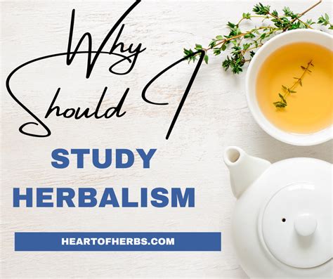 Herbalist Certification A Pathway To Professional Success Heart Of