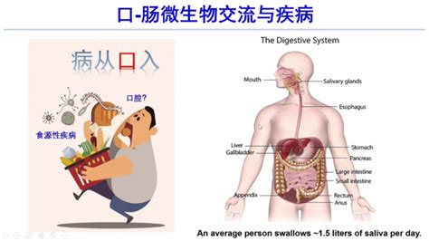 Chc 2023：口腔菌群与心血管疾病 Medscicn