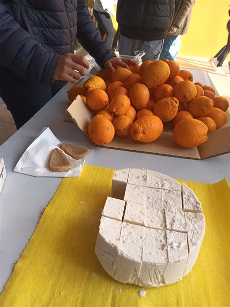 Tanquem Una escola de profit amb un mercat solidari Gràcies Florida