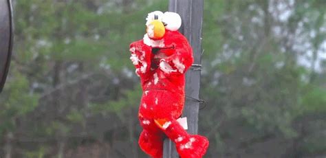 An Elmo Muppet Character Stuffed Toy Sits Amid The Destruction In The