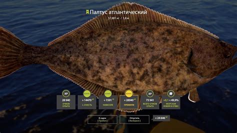 Русская рыбалка 4!Норвежского море,пока так,30 минут реала! Хорошо ...