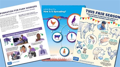 Avian Influenza Bird Flu Resources Bird Flu Cdc