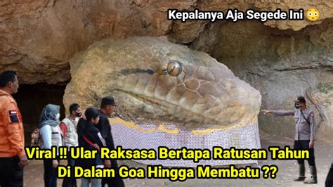 Viral Ular Raksasa Bertapa Ratusan Tahun Di Dalam Goa Hingga Membatu