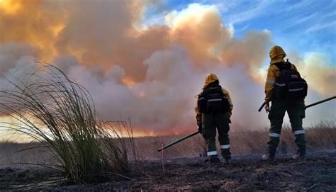 Controlaron Los Incendios Sobre Las Islas Del Delta Diario La Calle