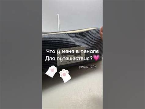 что у меня в пенале для путешествия?💗 *улетели 12.02* 🍂 #пенал # ...