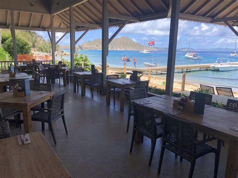 cooper island palm tree charters