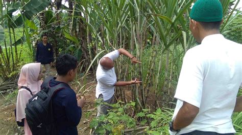 Konsep Kawasan Rumah Pangan Lestari Dengan Pemanfaatan Lahan Pekarangan