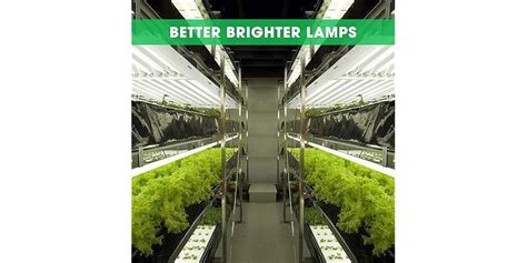 VIVOSUN T5 Grow Lights 4 Ft 216W