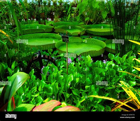 Irish National Botanic Gardens Dublin Co Dublin Ireland Stock Photo