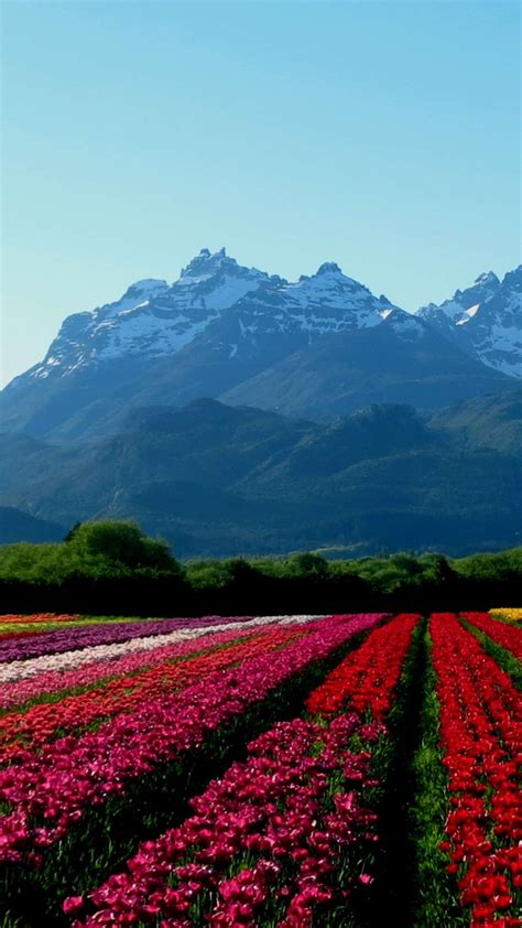 Top Hiking Trails In Patagonia