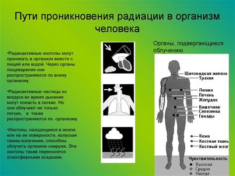 Воздействие радиационных веществ на окружающую среду - презентация онлайн