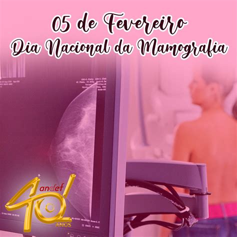 05 De Fevereiro Dia Nacional Da Mamografia