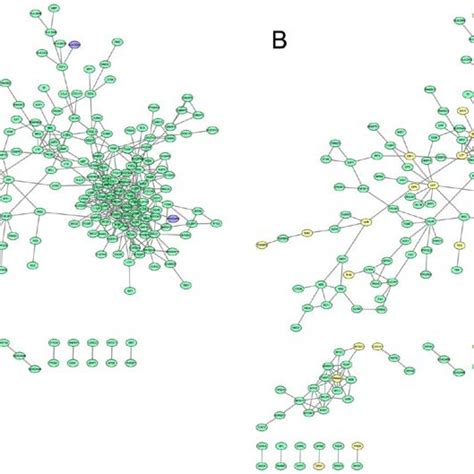 Proteinprotein Interaction Network Of Upregulated Genes Red Nodes