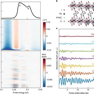 Impulsive Coherent Vibrational Dynamics Of Pea Pbi A Absorption