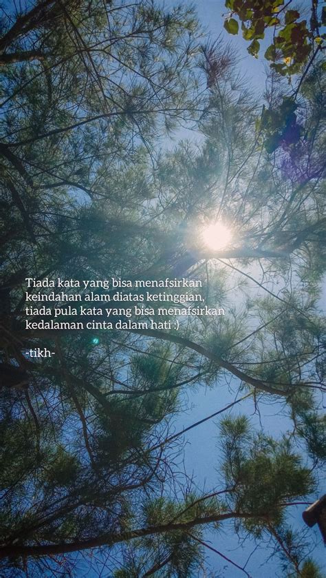 Quotes Alam Pohon Kehidupan Kata Kata Pelajaran Hidup