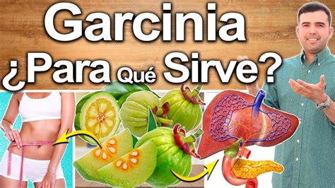 Garcinia Para Qu Sirve Beneficios De La Garcinia Para Tu Salud Y