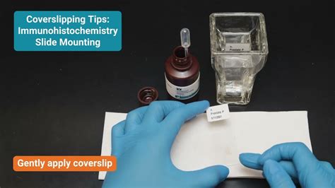 Immunohistochemistry Slide Mounting Tips For Coverslipping Youtube