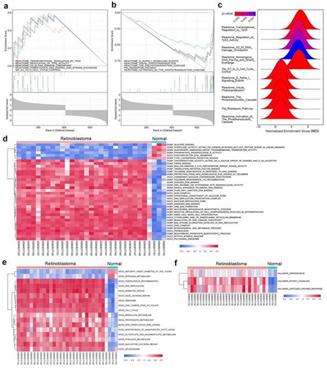 Gene Set Enrichment Analysis Gsea And Gene Set Variation Analysis