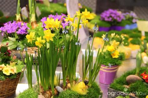 Flores De Primavera Rompecabezas En L Nea