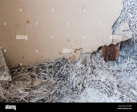 L Amiante Dans Le Mur Photo Stock Alamy