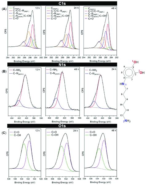 Curve Fitting Results For C1s N1s And O1s High Resolution Xps Spectra Download Scientific