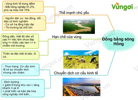 5 Hạn chế của sơ đồ tư duy và cách vượt qua chúng