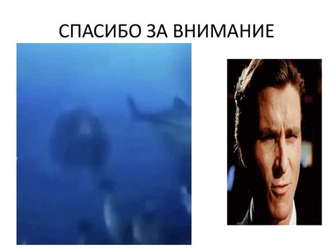 Жевательная резинка. Польза или вред? - презентация онлайн