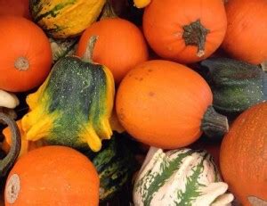 Petitweb Lu Citrouilles Potiron Courges Et Cie