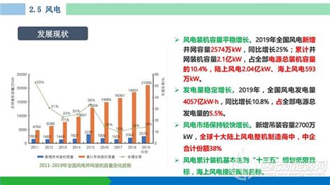 中国可再生能源发展报告2019世纪新能源网 Century New Energy Network