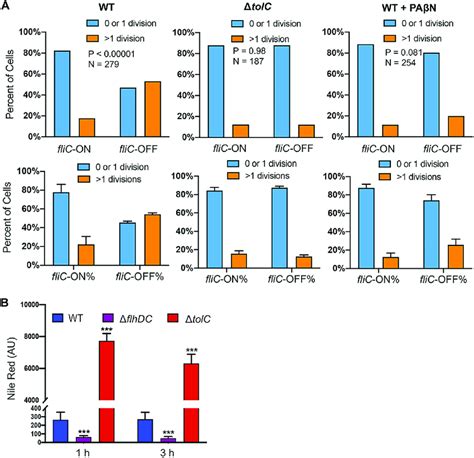 Increased Antibiotic Tolerance In FliC OFF Cells Depends On Efflux A